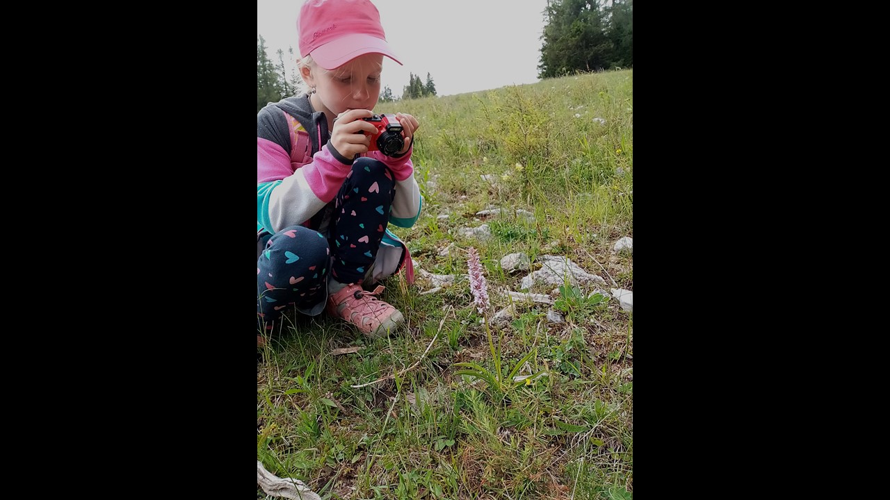 Snímek5