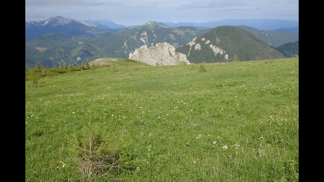 Snímek143